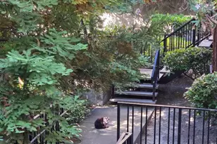 3715 Terstena Pl 202, Santa Clara, CA 95051 - Photo 20