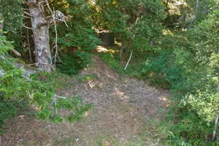 1239 La Madrona Dr, Santa Cruz, CA 95060 - Photo 36