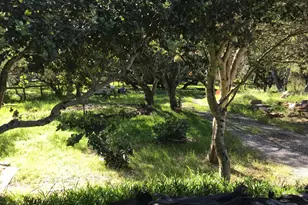 6967 Valle Pacifico Rd, Salinas, CA 93907 - Photo 1
