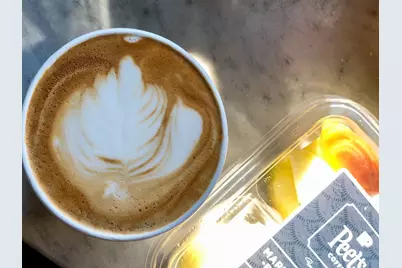 1788 Camino Leonor, San Jose, CA 95131 - Photo 30