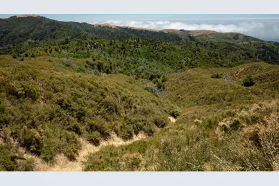 38805 Palo Colorado Road, Carmel, CA 93923 - Photo 8