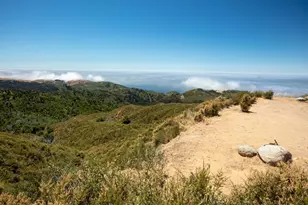 38805 Palo Colorado Rd, Carmel, CA 93923 - Photo 1