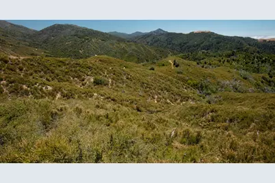 38805 Palo Colorado Road, Carmel, CA 93923 - Photo 6