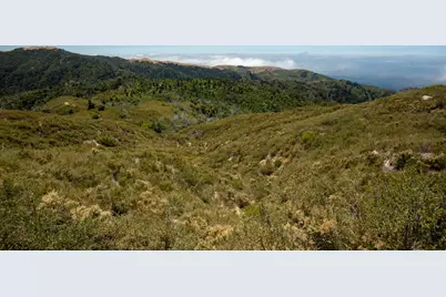 38805 Palo Colorado Road, Carmel, CA 93923 - Photo 4