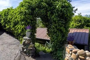 646 Blue Ridge Dr, Boulder Creek, CA 95006 - Photo 38