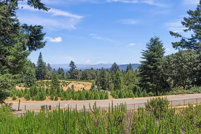 19960 Skyline Blvd, Los Gatos, CA 95033 - Photo 42