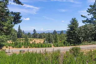 19960 Skyline Blvd, Los Gatos, CA 95033 - Photo 42