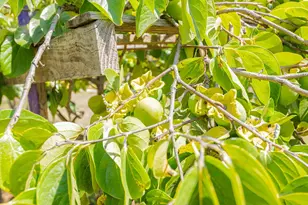 17945 Pesante Rd, Salinas, CA 93907 - Photo 50