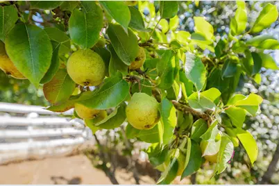 17945 Pesante Rd, Salinas, CA 93907 - Photo 12