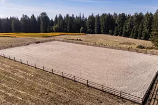 420 Bonnie Brae Road &amp 3980 Bonny Doon Rd, Santa Cruz, CA 95060 - Photo 40