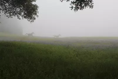 420 Bonnie Brae Road &amp;  3980 Bonny Doon Rd, Santa Cruz, CA 95060 - Photo 42