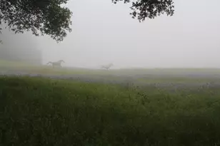 420 Bonnie Brae Road &amp 3980 Bonny Doon Rd, Santa Cruz, CA 95060 - Photo 42