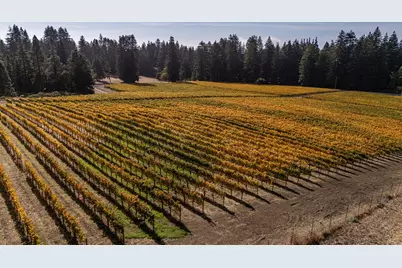 420 Bonnie Brae Road &amp;  3980 Bonny Doon Rd, Santa Cruz, CA 95060 - Photo 48