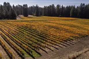 420 Bonnie Brae Road &amp 3980 Bonny Doon Rd, Santa Cruz, CA 95060 - Photo 48