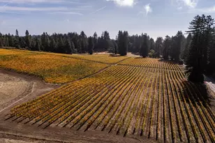 3980 Bonny Doon Rd, Santa Cruz, CA 95060 - Photo 18