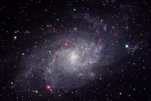 3980 Bonny Doon Rd, Santa Cruz, CA 95060 - Photo 12