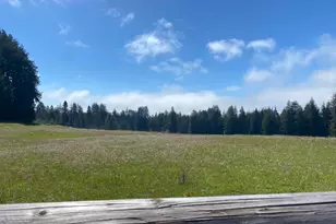 3980 Bonny Doon Rd, Santa Cruz, CA 95060 - Photo 24