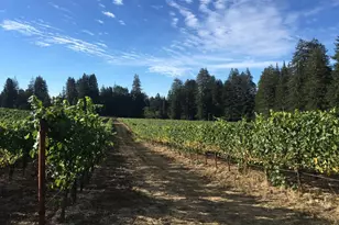 3980 Bonny Doon Rd, Santa Cruz, CA 95060 - Photo 20