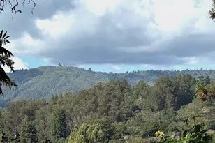 422 Allan Ln, Corralitos, CA 95076 - Photo 1