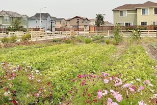 33472 Pony Loop, Fremont, CA 94555 - Photo 1