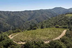 25200 Loma Prieta Ave, Los Gatos, CA 95033 - Photo 84