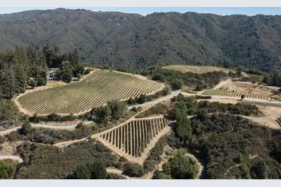 25200 Loma Prieta Ave, Los Gatos, CA 95033 - Photo 86