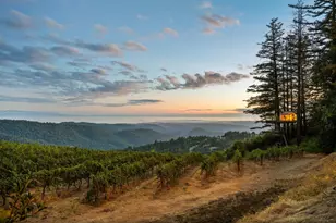 25200 Loma Prieta Ave, Los Gatos, CA 95033 - Photo 4