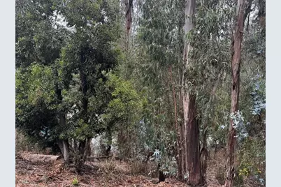 6587 Thornhill Dr, Oakland, CA 94611 - Photo 1