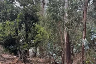 6587 Thornhill Dr, Oakland, CA 94611 - Photo 1