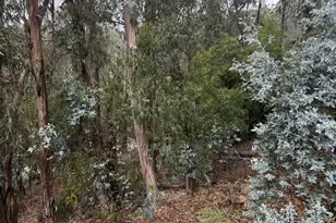 6567 Thornhill Dr, Oakland, CA 94611 - Photo 1