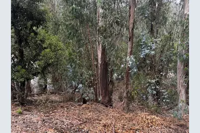 6595 Thornhill Dr, Oakland, CA 94611 - Photo 4