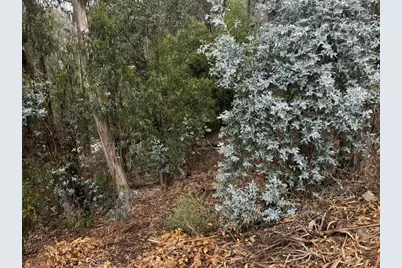 6595 Thornhill Dr, Oakland, CA 94611 - Photo 1