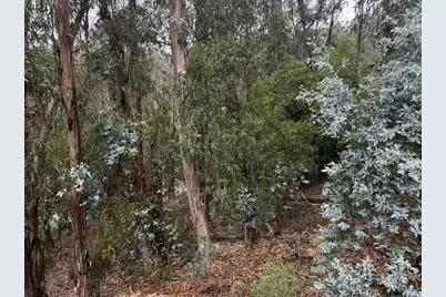 6595 Thornhill Dr, Oakland, CA 94611 - Photo 6