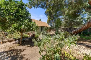 841 Willis Ave, San Jose, CA 95125 - Photo 38