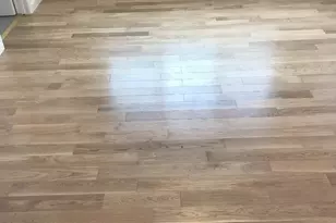 2469 Olive Ave, San Jose, CA 95128 - Photo 4