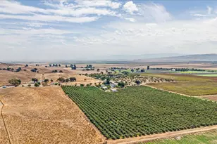 4125 Prunedale Ave, Gilroy, CA 95020 - Photo 60