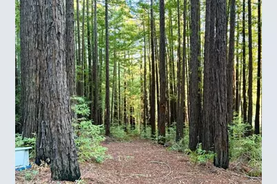 7175 Redwood Retreat Rd, Gilroy, CA 95020 - Photo 14