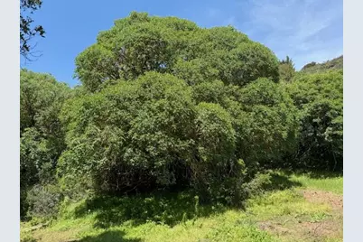 7175 Redwood Retreat Rd, Gilroy, CA 95020 - Photo 26