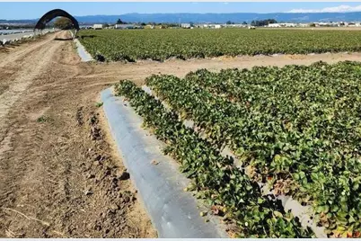 0 Clearwater Ln, Watsonville, CA 95076 - Photo 2