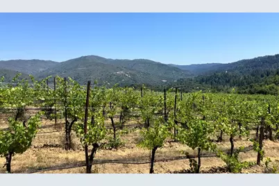 18700 Black Rd, Los Gatos, CA 95033 - Photo 16