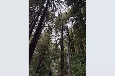 700 Laurel View Rd, Los Gatos, CA 95033 - Photo 8