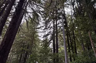 700 Laurel View Rd, Los Gatos, CA 95033 - Photo 8