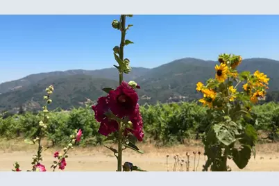 18650 Black Rd, Los Gatos, CA 95033 - Photo 16