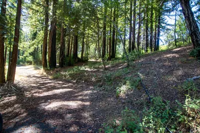 19145 Big Basin Way, Boulder Creek, CA 95006 - Photo 4