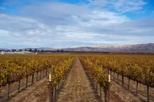 31102 Camphora Gloria Rd, Soledad, CA 93960 - Photo 2