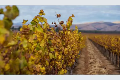 31102 Camphora Gloria Rd, Soledad, CA 93960 - Photo 6