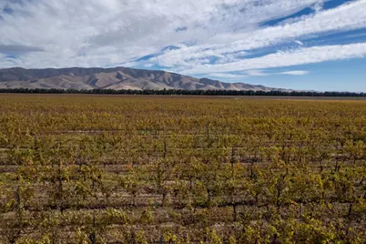 31102 Camphora Gloria Rd, Soledad, CA 93960 - Photo 4