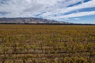 31102 Camphora Gloria Rd, Soledad, CA 93960 - Photo 4