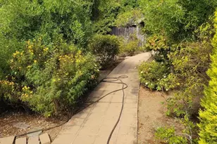 3360 Merrill Rd, Aptos, CA 95003 - Photo 38