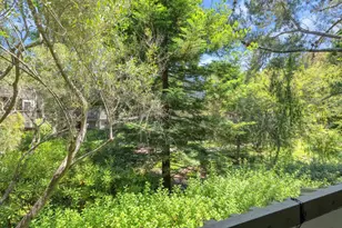 5202 Shelter Creek Ln, San Bruno, CA 94066 - Photo 32